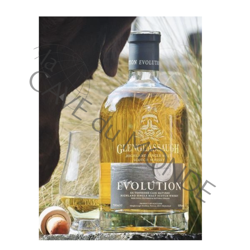 Whisky Highland Glenglassaugh Evolution 50° 70cl
