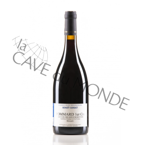 Bourgogne Pommard 1er Cru Clos des Boucherottes Dom B. Sordet 2020 14,5° 75cl