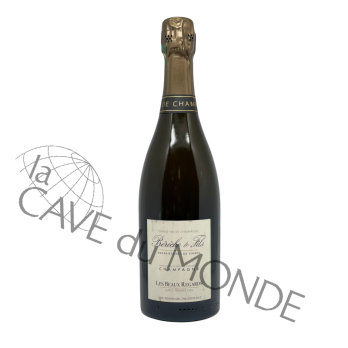 Champagne Bérêche 1er cru Beaux Regards 100% Chardonnay Brut Nature 2017 12,5° 75cl