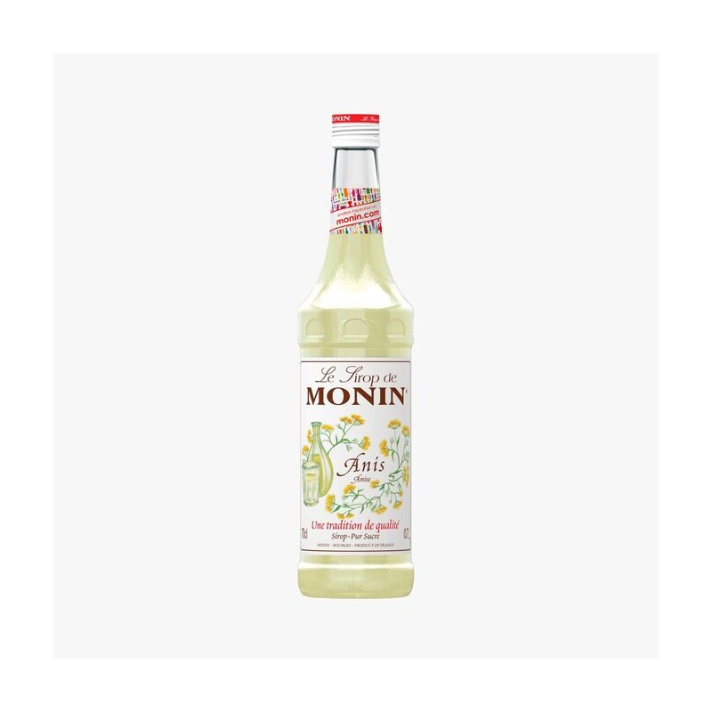 Sirop d'Anis Monin 100cl