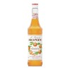 Sirop de Mandarine Monin 70cl