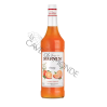Sirop d'Orange Monin 100cl