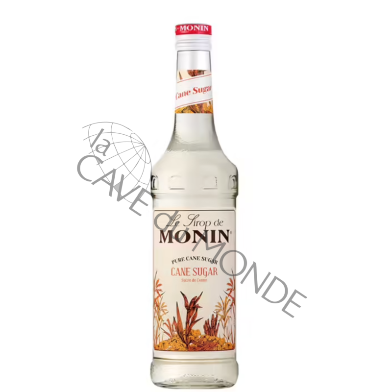 Sucre de Canne Monin 70cl